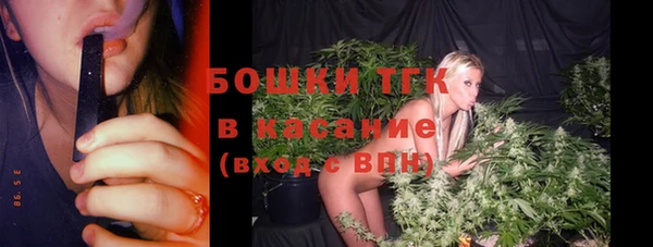 гидра Алексеевка