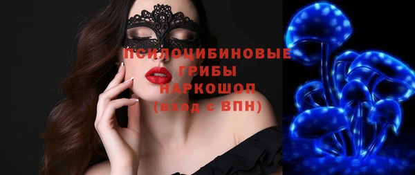гидра Алексеевка