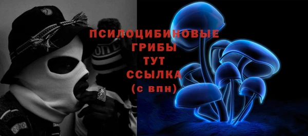 МДПВ Алзамай