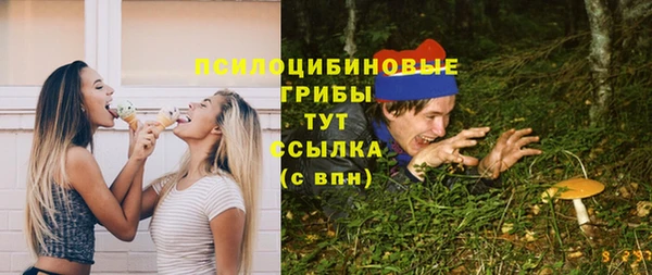 mix Алексин