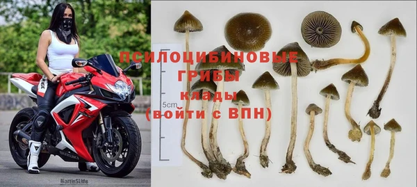 МДПВ Алзамай